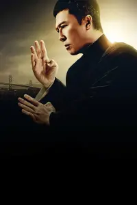 Poster to the movie "Ip Man 4: The Finale" #713417