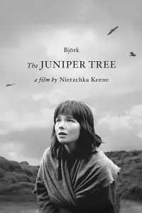 Poster to the movie "The Juniper Tree" #985843
