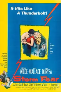 Poster to the movie "Storm Fear" #965695