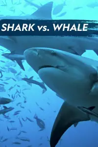 Poster to the movie "Shark Vs. Whale" #1016910