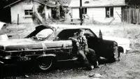 Backdrop to the movie "Black Oak Conspiracy" #889360