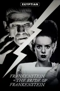 Poster to the movie "Frankenstein" #641118