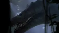 Backdrop to the movie "Jurassic Park III" #740407