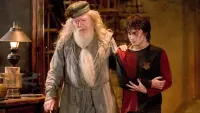 Backdrop to the movie "Harry Potter and the Goblet of Fire" #699507