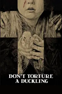 Poster to the movie "Don