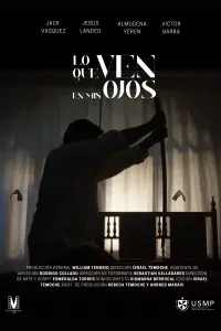 Poster to the movie "What You See In My Eyes" #626138