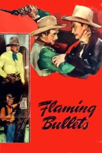 Poster to the movie "Flaming Bullets" #1178121
