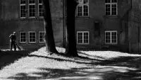 Backdrop to the movie "Disappearance" #739761