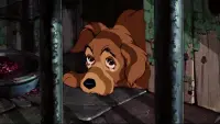 Backdrop to the movie "Lady and the Tramp" #712192