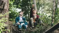 Backdrop to the movie "Swiss Army Man" #252558