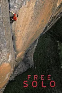 Poster to the movie "Free Solo" #957908