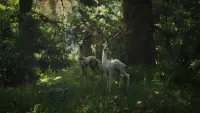 Backdrop to the movie "Annihilation" #711591