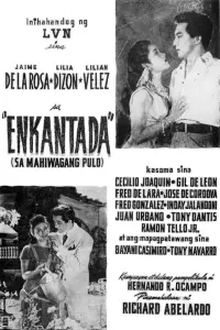 Poster to the movie "Enkantada" #1045302