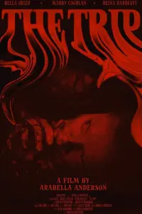 Poster to the movie "The Trip" #610718