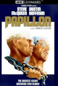 Poster to the movie "Papillon" #942361