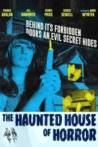 Poster to the movie "The Haunted House of Horror" #1205243