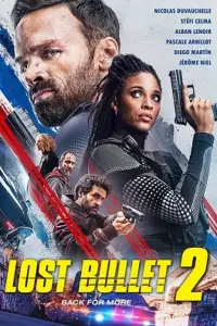 Poster to the movie "Lost Bullet 2" #971303