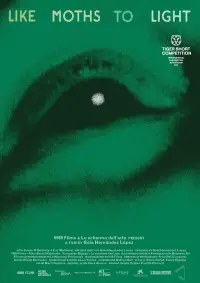 Poster to the movie "like moths to light" #560659