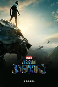 Poster to the movie "Black Panther" #630225