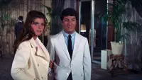 Backdrop to the movie "The Graduate" #203276