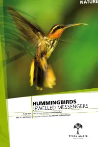Poster to the movie "Hummingbirds: Jewelled Messengers" #984932