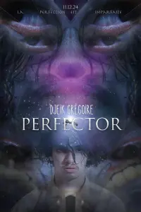 Perfector