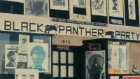 Backdrop to the movie "Black Panthers" #826744