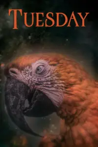 Poster to the movie "Tuesday" #1158466