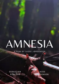 Poster to the movie "Amnesia" #569624
