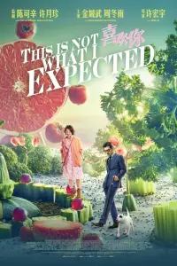 Poster to the movie "This Is Not What I Expected" #1171298