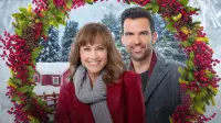 Backdrop to the movie "Cranberry Christmas" #892772