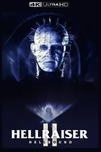 Poster to the movie "Hellbound: Hellraiser II" #1025044
