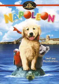 Poster to the movie "Napoleon" #646963