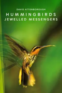 Poster to the movie "Hummingbirds: Jewelled Messengers" #984930