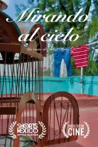 Poster to the movie "Mirando al Cielo" #873913