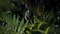 Backdrop to the movie "Jurassic World" #739588