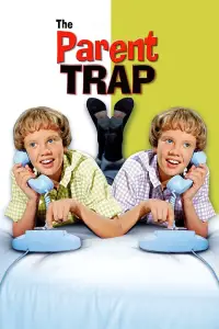 Poster to the movie "The Parent Trap" #965215