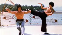 Backdrop to the movie "Bruce, King of Kung Fu" #722970