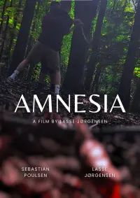 Poster to the movie "Amnesia" #569623