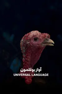 Poster to the movie "Universal Language" #654902