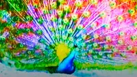 Backdrop to the movie "Afraid of Peacock" #770648