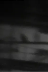 Poster to the movie "in thin air" #1074709