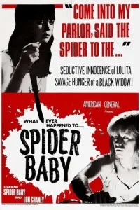 Poster to the movie "Spider Baby" #995589