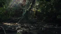 Backdrop to the movie "Annihilation" #711595