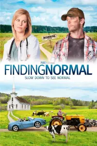 Poster to the movie "Finding Normal" #1079496