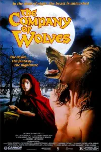Poster to the movie "The Company of Wolves" #959495