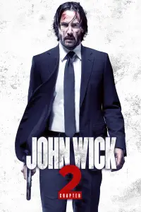 Poster to the movie "John Wick: Chapter 2" #912765