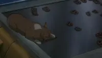 Backdrop to the movie "Cowboy Bebop: The Movie" #673504
