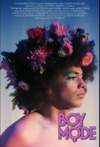 Poster to the movie "Boy Mode" #586559