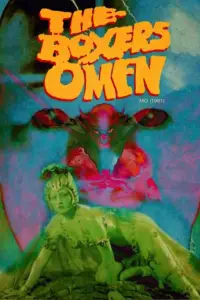 Poster to the movie "The Boxer